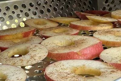 Apfelchips
