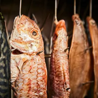 BorniakFish